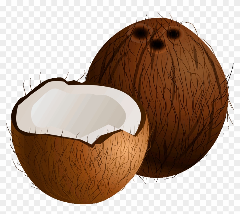 Coconut Png Image - Squash, Transparent Png - 909x768(#534487) - PngFind