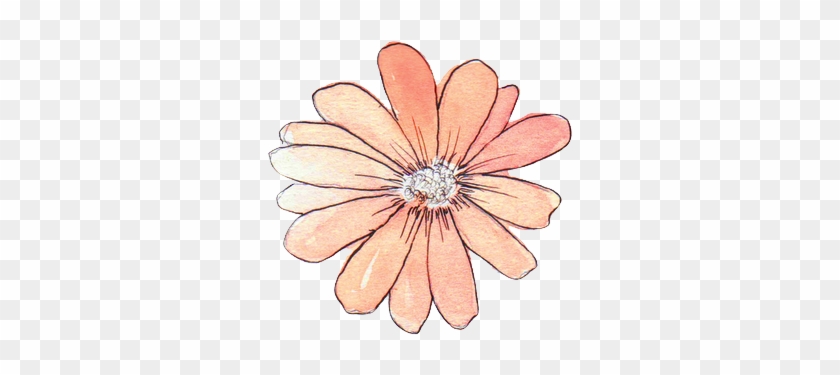 Flower Drawing Tumblr Free Download  Frozen Fever PngFlowers Transparent  Tumblr  free transparent png images  pngaaacom