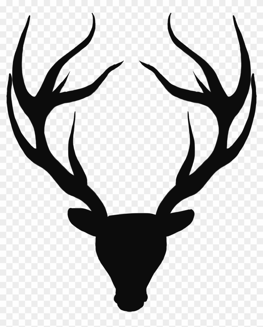 Stags Transparent, HD Png Download - 3886x4323(#5349145) - PngFind