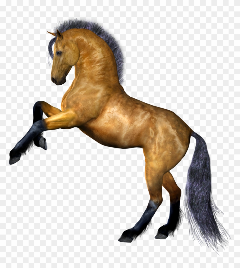 Clipart Png Horse Best - Horse Png No Background, Transparent Png -  900x863(#542771) - PngFind