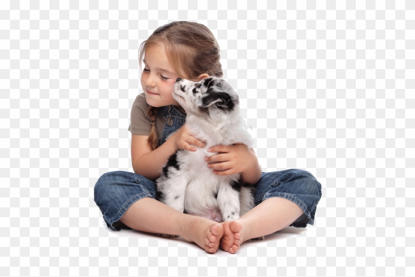 Web Design - Children Dog, HD Png Download - 960x540(#5404268) - PngFind