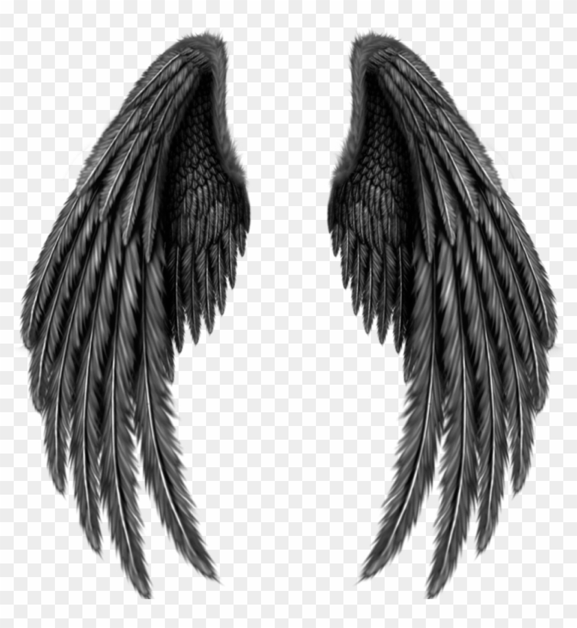 Asa Sticker Black Angel Wings Png Transparent Png 1024x1024