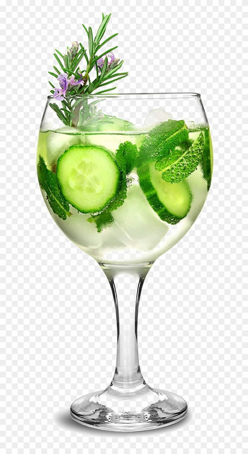 Download Cocktail Glass Png - Gin And Tonic Copa Glass, Transparent Png - 625x1459(#5482253) - PngFind