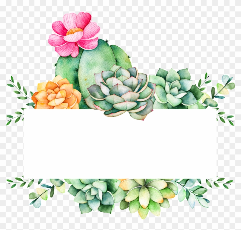 Easy To Grow Plants Cartoon Transparent - Succulent Logo, HD Png