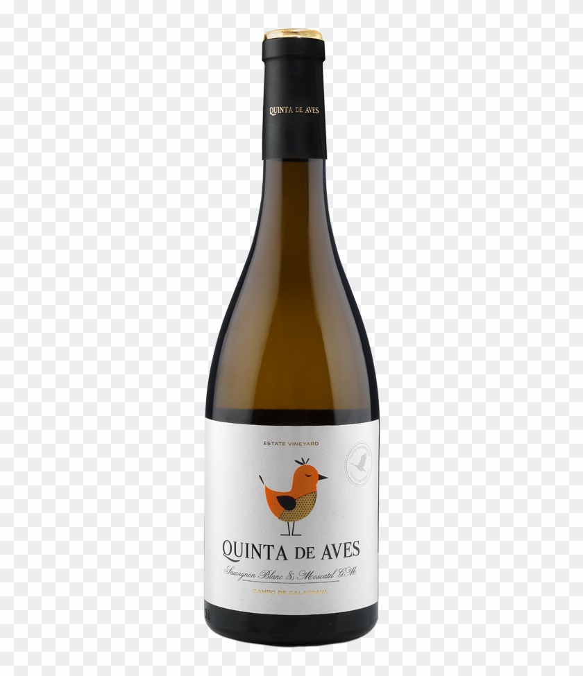 Would You Like To Purchase Our Wines - Wild Rock Sauvignon Blanc, HD ...