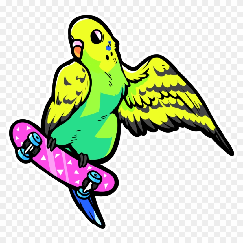 Budgie , Png Download, Transparent Png - 1086x1033(#5585605) - PngFind