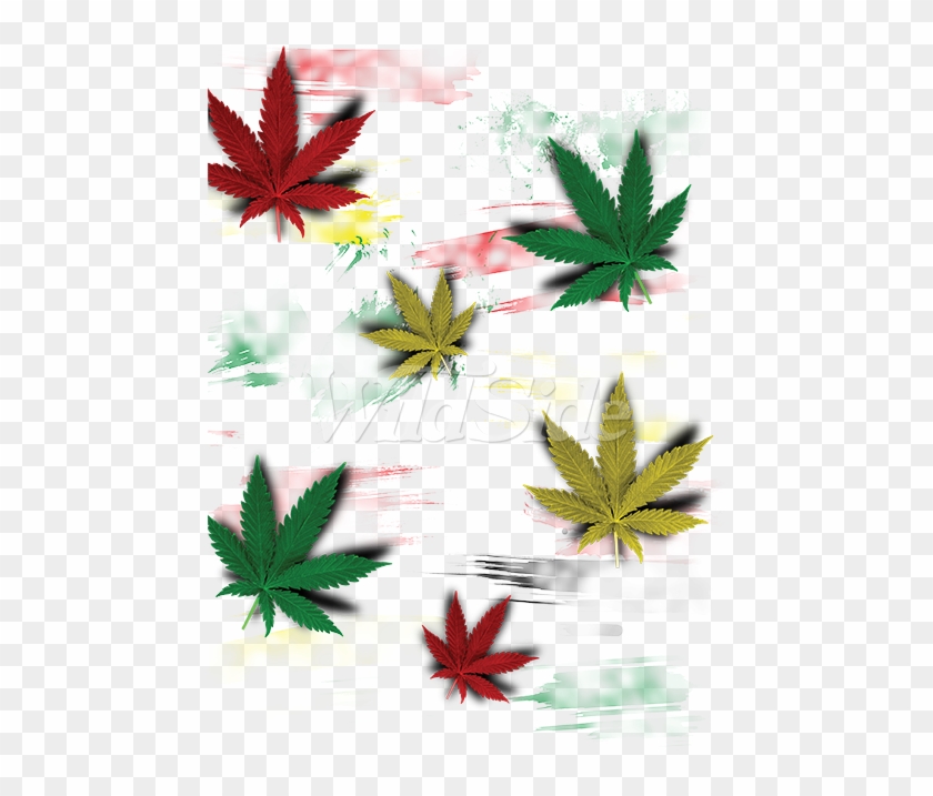 Download Rasta Multi Color Pot Leaves Cannabis Hd Png Download 675x675 5591062 Pngfind