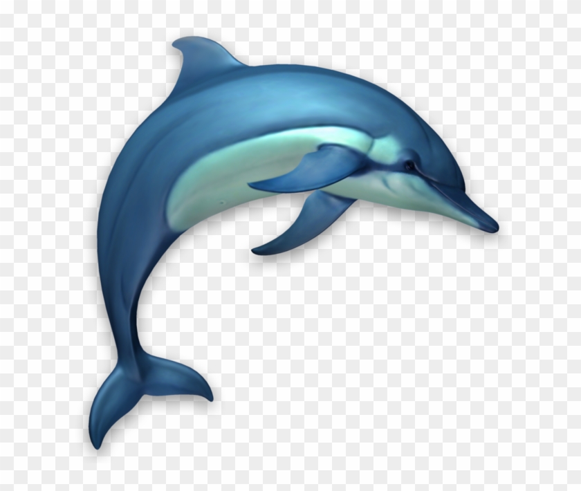 Dolphin mac download