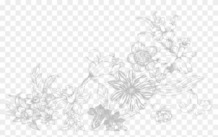 Flores Boda - Sketch, HD Png Download - 1250x619(#561013) - PngFind