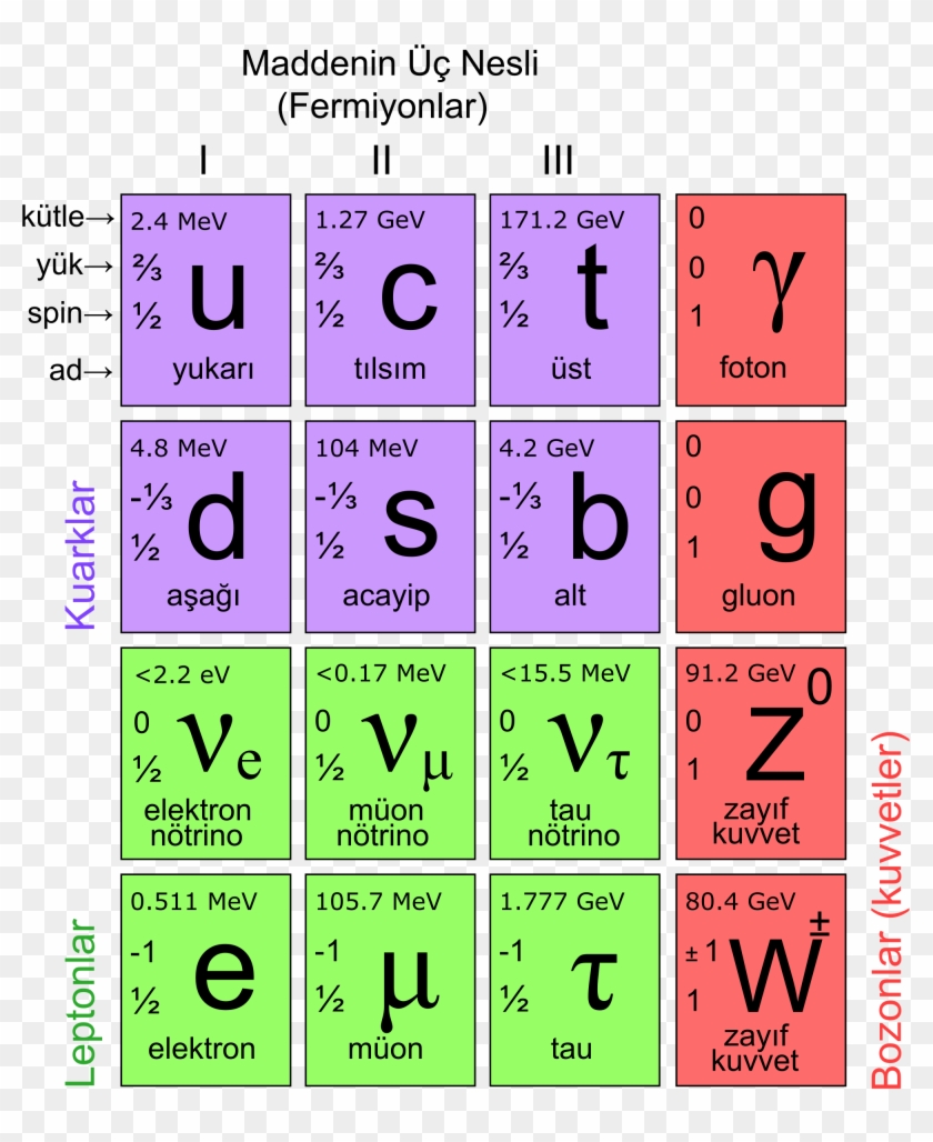 Elementary Particles - Higher Physics Standard Model, HD Png Download ...