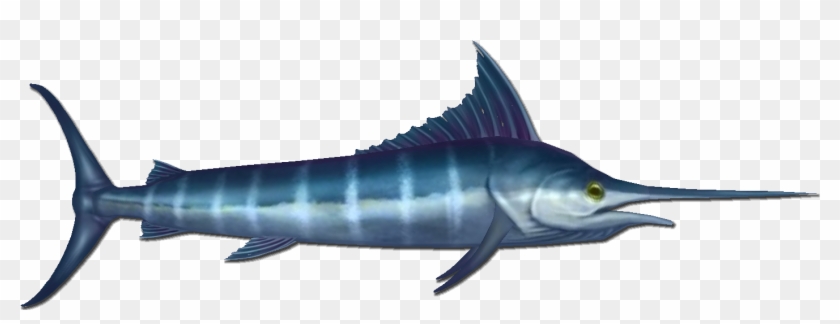 Download Marlin Are A Common Fish That Can Be Found At The Bottom Swordfish Hd Png Download 1412x478 5613950 Pngfind