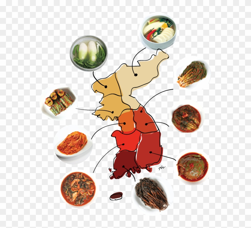 Where Kimchi Come From - Cartoon, HD Png Download - 745x735(#5616702