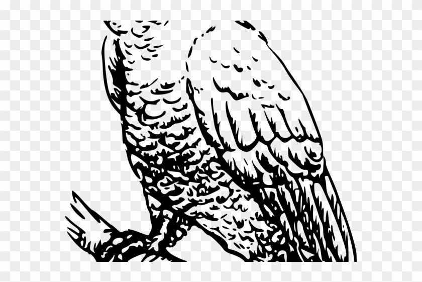 Cockatoo Clipart Transparent - Cockatoo Vector Black White, HD Png ...