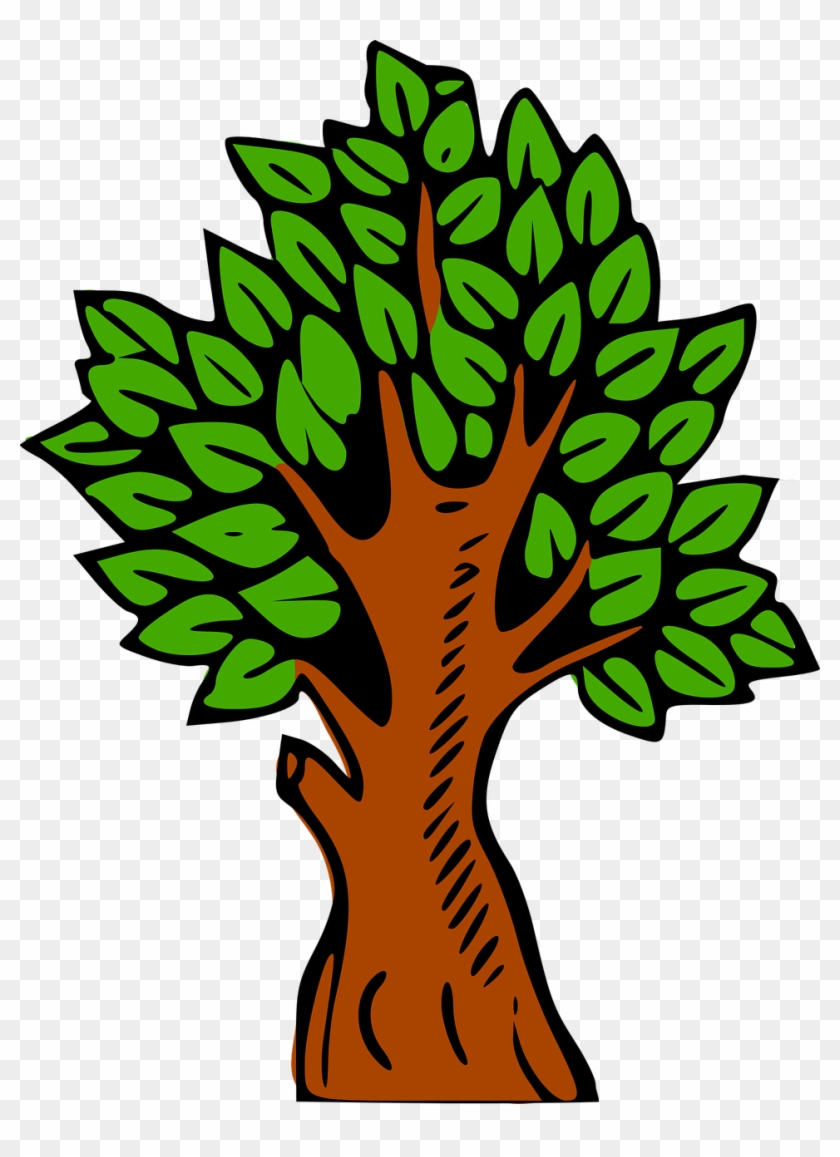 Tree Computer Icons Color Wood Forest - Tree, HD Png Download