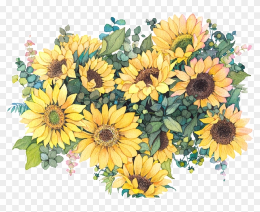 Download Flowers Sunflowers Sunflowers Aesthetictumblr Watercolor Sunflowers Png Transparent Png 1024x784 5751003 Pngfind