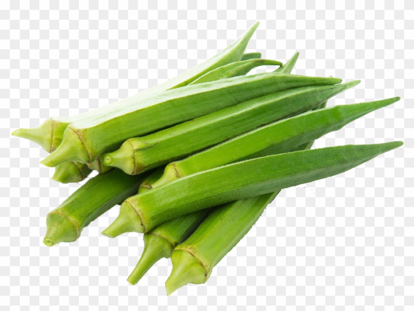 lady finger Ø¨Ú¾Ù†ÚˆÛŒ bhindi okra hd png download 1492x1051 5839801 pngfind lady finger Ø¨Ú¾Ù†ÚˆÛŒ bhindi okra hd png