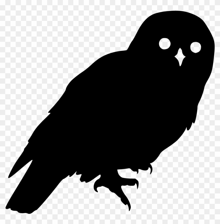 Download Owl1 Owl Silhouette No Background Hd Png Download 1348x1314 5859409 Pngfind