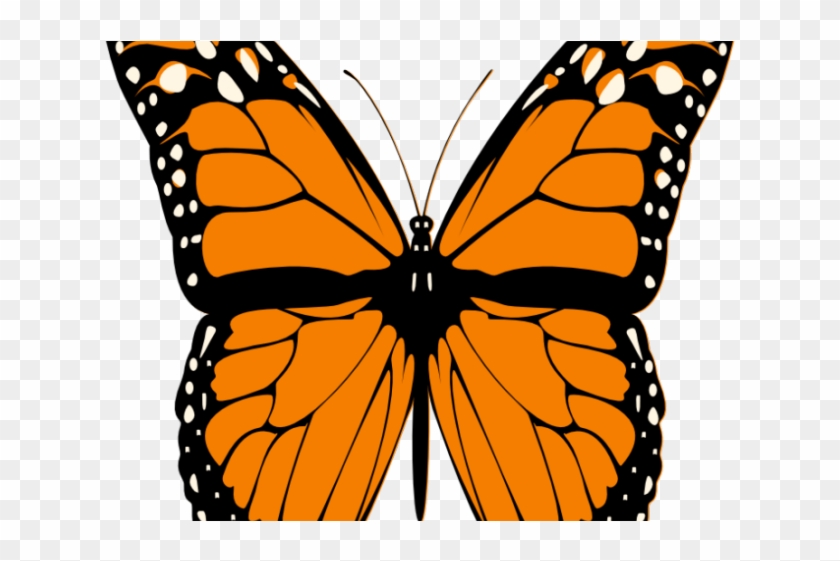 Free Free Half Butterfly Svg Free 627 SVG PNG EPS DXF File