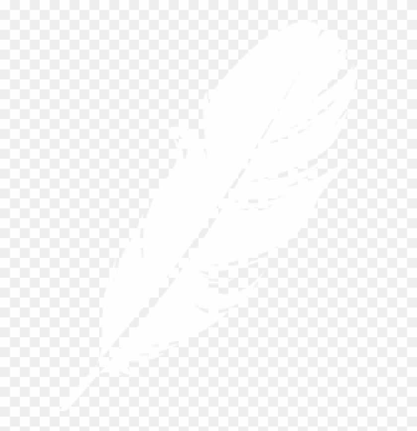 Feather Clipart Logo Image Download - White Feather On Transparent  Background, HD Png Download - 600x789(#5877555) - PngFind