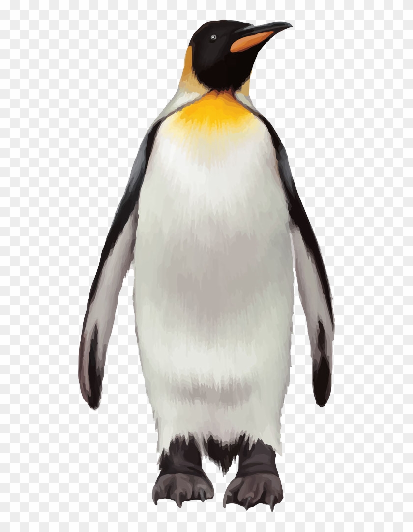 Penguin Transparent Background Png - Transparent Penguin Png, Png Download  - 522x1000(#5883595) - PngFind