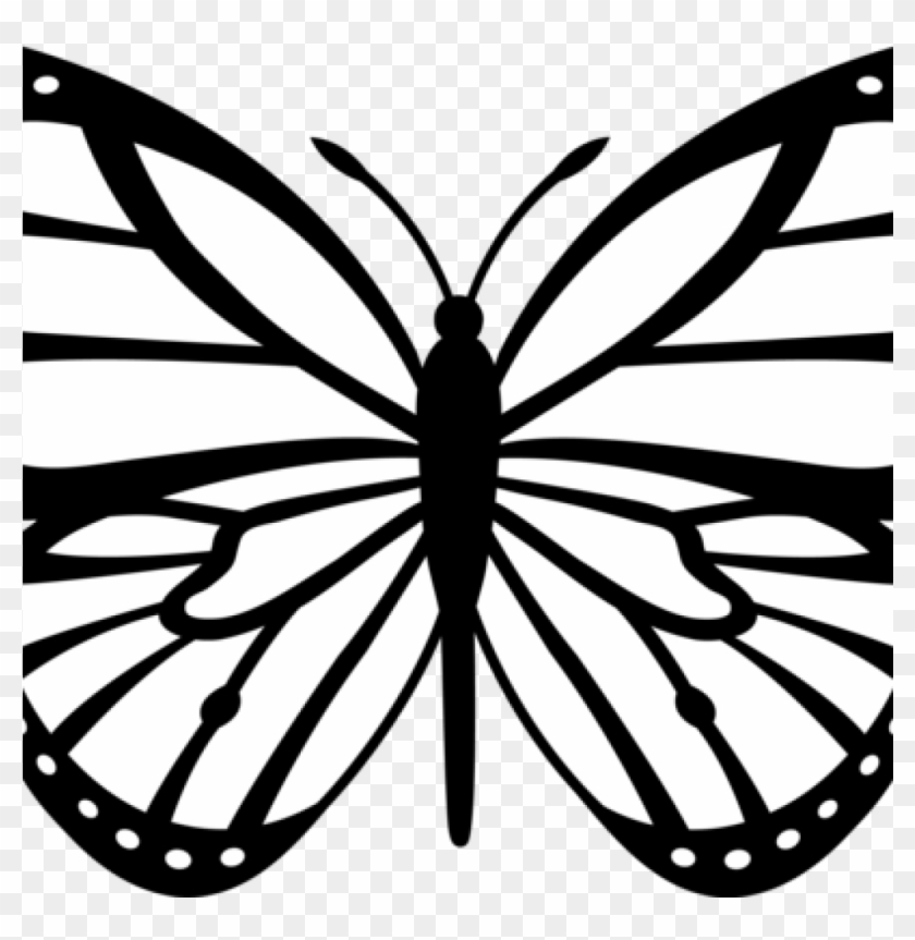 Butterfly Outline Clipart Butterfly Outline Clipart - Monarch Butterfly