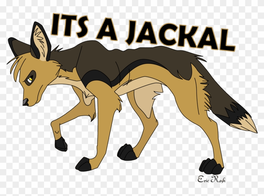 jackal cartoon