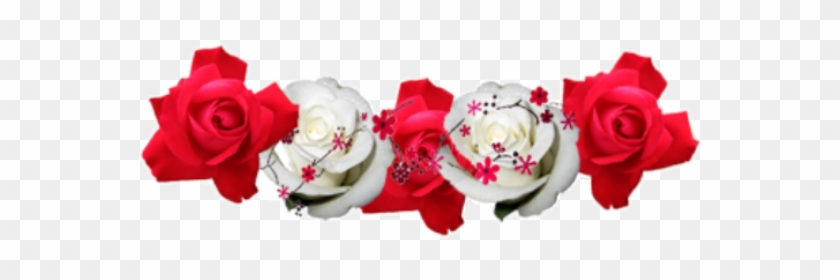 red and white flower crown