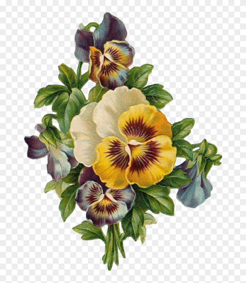 Hãy chiêm ngưỡng vẻ đẹp lãng mạn của hoa Pansy trong bức ảnh này. Những đóa hoa này mang đến cho bạn cảm giác yên bình và thanh tịnh trong tâm hồn.