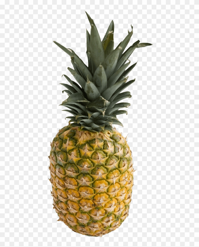 Download Free Png Pineapple Png Images Transparent Pineapple Png Png Download 480x1005 599042 Pngfind SVG, PNG, EPS, DXF File