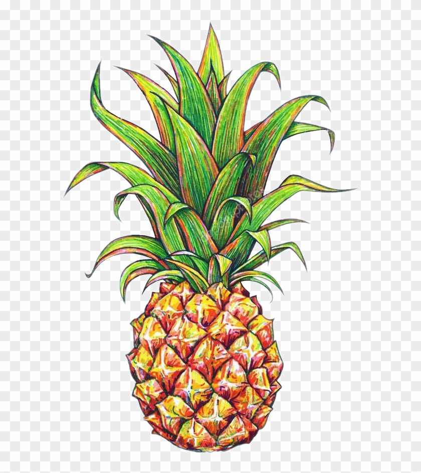 pineapple transparent tumblr