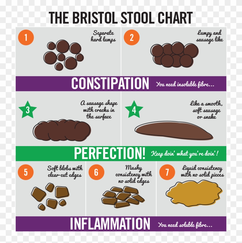 Dog Poop Normal Cake Bristol Stool Chart HD Png Download 800x818 