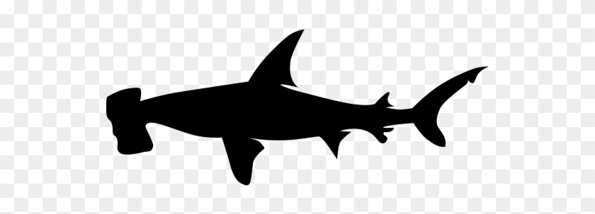 Free Free 189 Silhouette Hammerhead Shark Svg SVG PNG EPS DXF File
