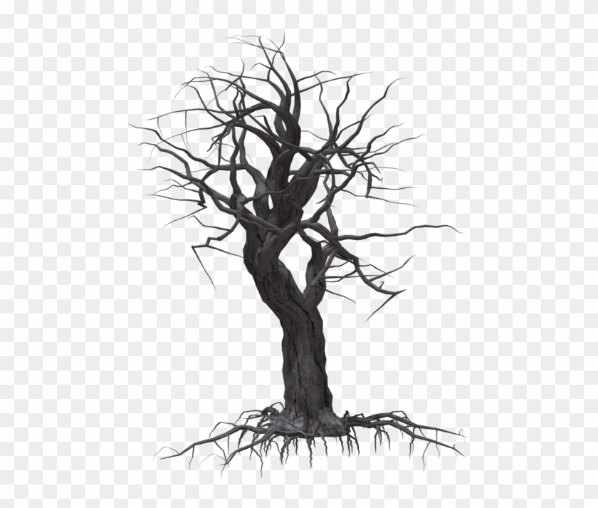 Creepy Tree Png Creepy Tree Transparent Png Download 1024x639 614 Pngfind