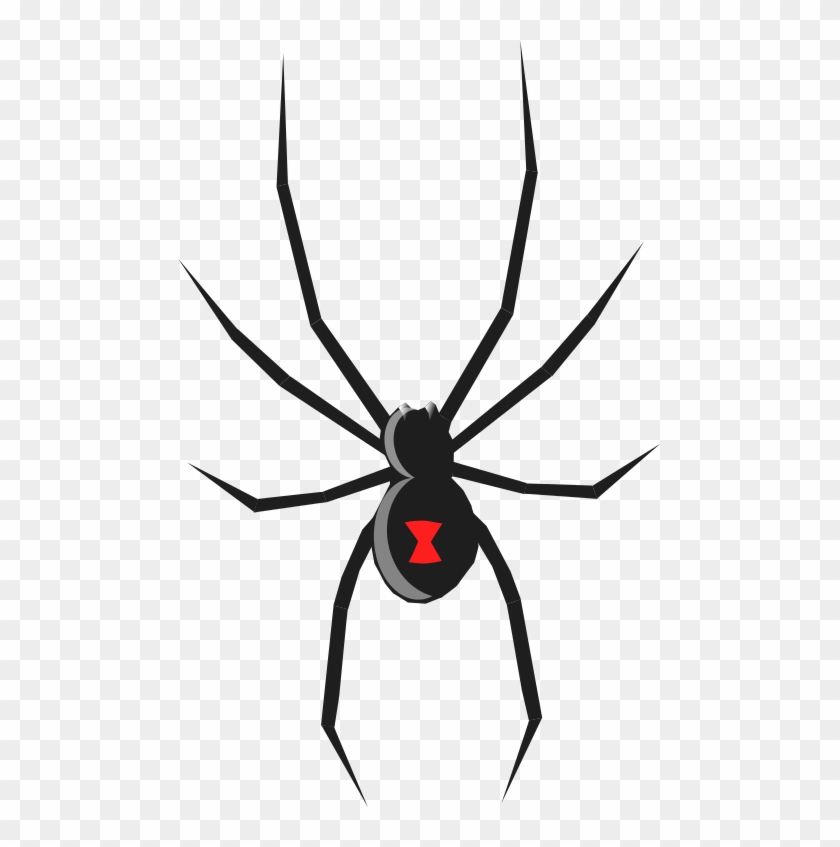Share 140+ black spider drawing best - seven.edu.vn