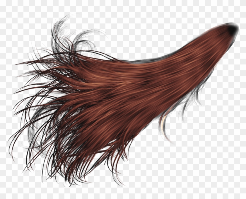 Download PNG Anime hair for photoshop - Free Transparent PNG