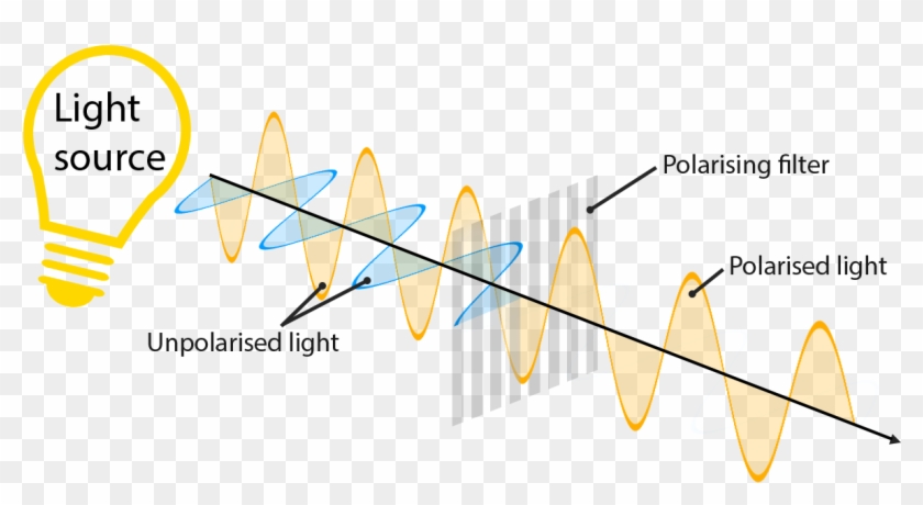 Vector Stock Linear Polarized D Glasses And The Physical - Polarization ...