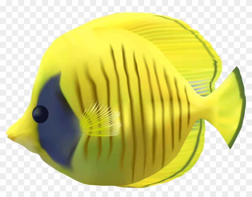 Free Png Download Yellow Fish Transparent Clipart Png - Yellow Fish No