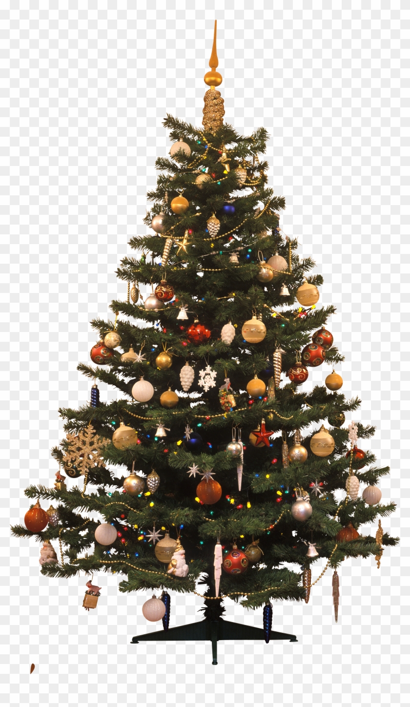 Christmas Tree Png - Christmas Tree Png
