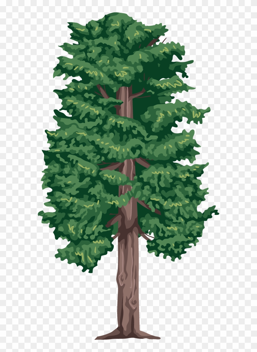 Featured image of post Tree Drawing For Kids Png : Find high quality kids drawing clipart, all png clipart images with transparent backgroud can be download for free!