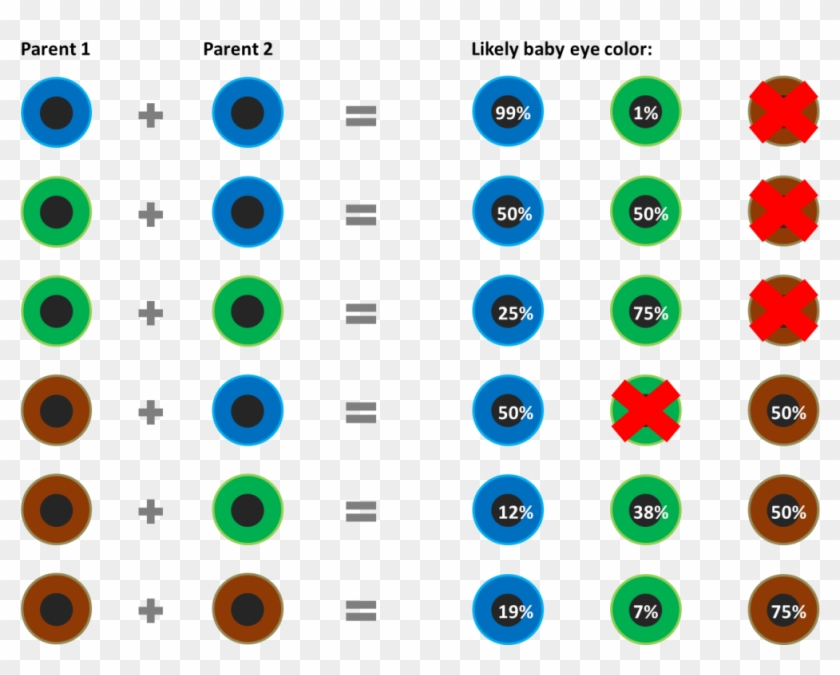 Baby Eye Color Chart According To Genetics What Are - Baby Eye Color ...