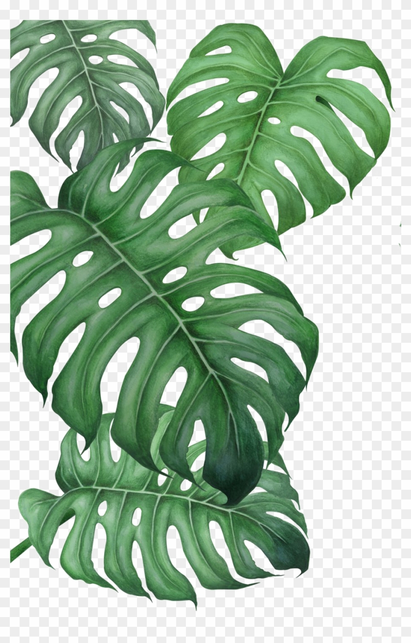 Monstera Leaf Printable Free Printable Templates