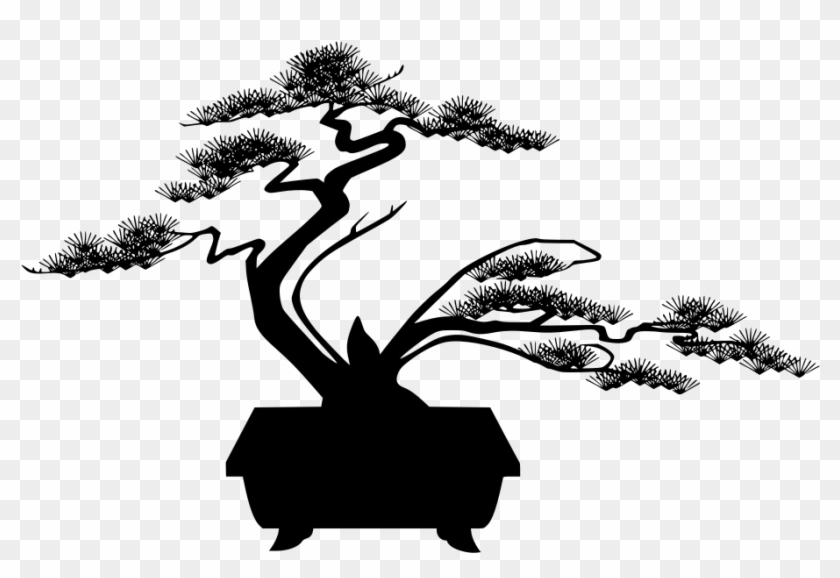 Download Png - Bonsai, Transparent Png - 1024x640(#6058476) - PngFind