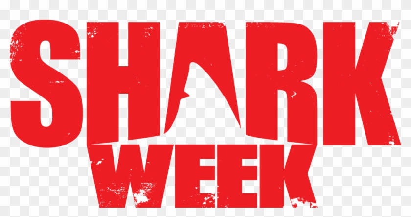Free Free 305 Shark Week Svg SVG PNG EPS DXF File