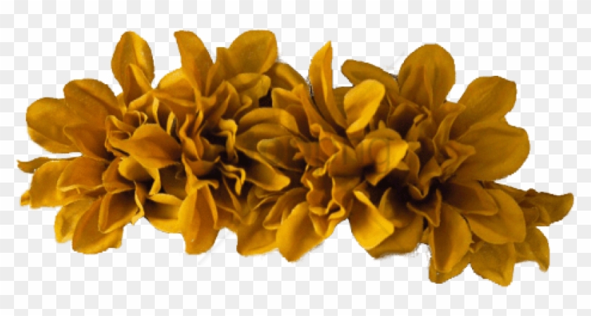 Transparent Yellow Flower Crown Png - Rwanda 24