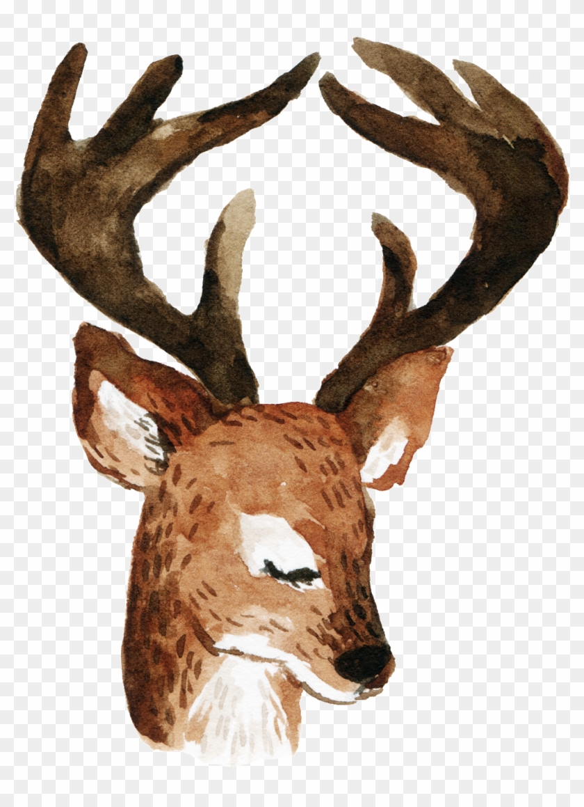 Cartoon Longhorn Deer Png , Png Download - Deer, Transparent Png ...