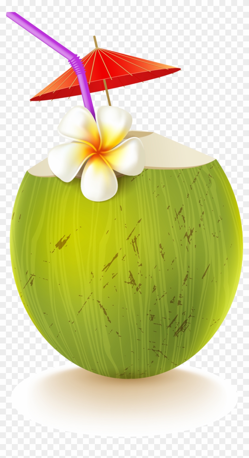 Coconut Drink Png Images PNGWing | vlr.eng.br