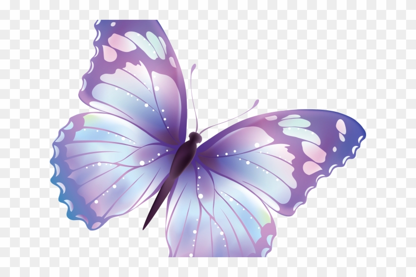 Download Monarch Butterfly Clipart Png Format Light Blue And Purple Butterflies Transparent Png 640x480 6185136 Pngfind