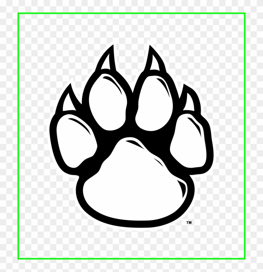 Free Free Lion Claw Svg 607 SVG PNG EPS DXF File