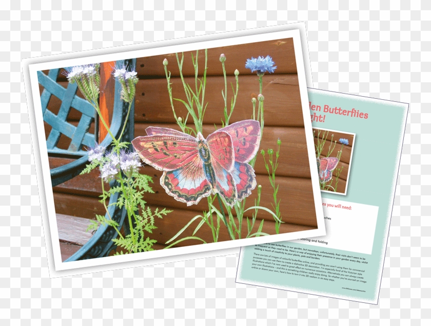 Download Garden 3d Butterfly Garden 3d Butterfly Brush Footed Butterfly Hd Png Download 760x560 6205753 Pngfind