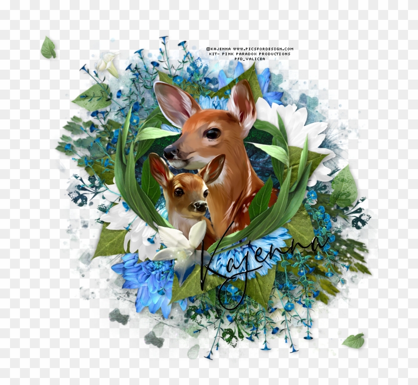 Download Oh Baby Deer Tag - Sorrel, HD Png Download - 700x700 ...